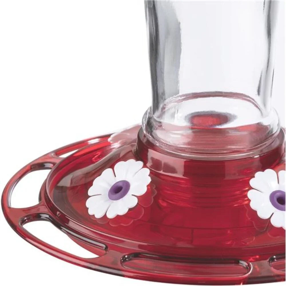 Bird Health+ Ruby Hummingbird Feeder, Glass Hummingbird Feeders for Outdoors